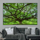 Ancient Tree Wall Art Canvas Print, Framed Sprawling by MyGreatCanvas | Canvas Wall Art Prints | Photo Prints & Wall Decor