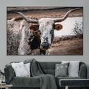 Texas Longhorn Wall Art Canvas Print – Framed Spotted Bull