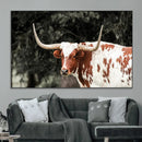 Texas Longhorn Wall Art Canvas Print – Framed Spotted Bull