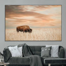 MyCanvas -