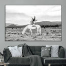 White Horse Wall Art Canvas Print – Framed Woman Rider
