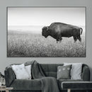Bison Wall Art Canvas Print – Framed Rustic Wildlife Scene by MyGreatCanvas | Canvas Wall Art Prints | Photo Prints & Wall Decor