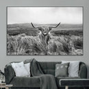 Monochrome Highland Cow Wall Art Canvas Print – Framed by MyGreatCanvas | Canvas Wall Art Prints | Photo Prints & Wall Decor