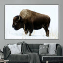 Bison Wall Art Canvas Print – Framed Western Wildlife