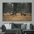 Deer Wall Art Canvas Print – Framed Rustic Wildlife Stags