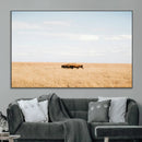 Bison Grassland Wall Art – Framed Minimal Nature Canvas by MyGreatCanvas | Canvas Wall Art Prints | Photo Prints & Wall Decor