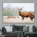 Rustic Deer Wall Art Canvas Print – Forest Woodland Stag