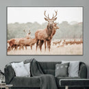 Rustic Nature Wall Art Canvas Print – Stag Woodland Framed by MyGreatCanvas | Canvas Wall Art Prints | Photo Prints & Wall Decor
