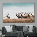 Elk Herd Wall Art Canvas Print – Framed Wildlife Photography
