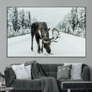Moose Snow Wall Art Canvas Print – Framed Winter Wildlife