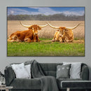 Texas Longhorn Pair Wall Art Canvas Print – Peaceful Rustic by MyGreatCanvas | Canvas Wall Art Prints | Photo Prints & Wall Decor