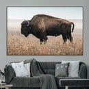 American Bison Wall Art Canvas Print – Majestic Buffalo