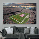 Chicago Bears Soldiers Field Wall Art Canvas Print – Framed