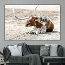 Majestic Longhorn Wall Art Canvas Print – Resting on Sunlit by MyGreatCanvas | Canvas Wall Art Prints | Photo Prints & Wall Decor