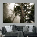Misty Forest Tall Trees Foggy Atmosphere Nature Serenity by MyGreatCanvas | Canvas Wall Art Prints | Photo Prints & Wall Decor