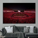 Dooley Stadium Wall Art, Sports Arena Canvas Print, Dooley by MyGreatCanvas | Canvas Wall Art Prints | Photo Prints & Wall Decor