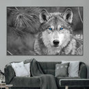 Wild Wolf Blue Eye Wall Art Canvas Print