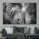 Wild Old Elephant Wall Art Canvas Print