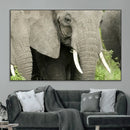 Wild Elephant Wall Art Canvas Print by MyGreatCanvas | Canvas Wall Art Prints | Photo Prints & Wall Decor