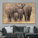 Wild Elephant Wall Art Canvas Print by MyGreatCanvas | Canvas Wall Art Prints | Photo Prints & Wall Decor