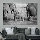 Wild Elephant Wall Art Canvas Print by MyGreatCanvas | Canvas Wall Art Prints | Photo Prints & Wall Decor