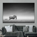 Elephand and Zebra Wall Art Canvas Print, Modern Artwork