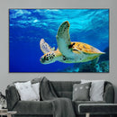 Sea Turtle Wall Art Canvas Print, Sea life in the Ocean Wall