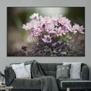 Pink Wild Flower Canvas Print by MyGreatCanvas | Canvas Wall Art Prints | Photo Prints & Wall Decor