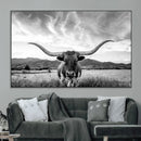 Longhorn Black and White Wall Art – Rustic Western Bull