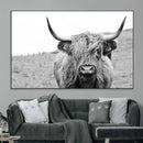 Newfoundland Cow Art Wall Art, Black White Cow Art Wall Art
