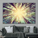 Tree and Sunshine Canvas Print