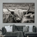Cow Focus Canvas Wall Art Print by MyGreatCanvas | Canvas Wall Art Prints | Photo Prints & Wall Decor