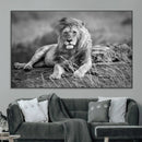 King Forest Lion Wall Art Canvas Print – Framed Majestic by MyGreatCanvas | Canvas Wall Art Prints | Photo Prints & Wall Decor