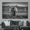 Fluffy Cattle Wall Art Print, Highland Cow Canvas, Framed by MyGreatCanvas | Canvas Wall Art Prints | Photo Prints & Wall Decor