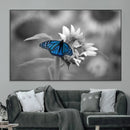 Blue Butterfly Black and White Canvas Wall Art by MyGreatCanvas | Canvas Wall Art Prints | Photo Prints & Wall Decor