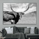 Cattle Wall Art Longhorn Cow Canvas Print