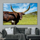 Longhorn and Cow Wall Art, Country Cow Wall Decor Canvas by MyGreatCanvas | Canvas Wall Art Prints | Photo Prints & Wall Decor