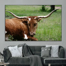Longhorn Cow Animal Wall Art Canvas Print by MyGreatCanvas | Canvas Wall Art Prints | Photo Prints & Wall Decor