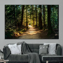 Sunlit Forest Pathway Canvas Print | 3 Panel Large Nature by MyGreatCanvas | Canvas Wall Art Prints | Photo Prints & Wall Decor