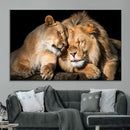 Lion and Lioness Wall Art Canvas Print – Framed African