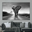 Black and White Elephant Wall Art Canvas Print