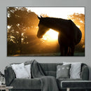 Horse at Sunset Wall Art Animal Canvas Print