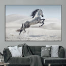 Prancing Horse Desert Large Wall Art Canvas Print – Majestic