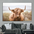 Scottish Serene Highland Cow Canvas Wall Art – Serene