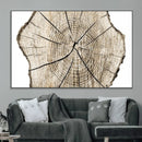 Abstract Wood Tree Ring Wall Art - Ready to Hang Minimalist