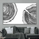 Abstract Large Tree Rings – Minimalist Black and White Wood