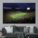 Michigan Wolverines Football Canvas Wall Decor, Football