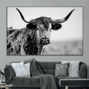 Texas Cow Longhorn Wall Art Canvas Print in Black and White