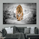 Jaguar Wall Art Canvas Print - Majestic Big Cat in Focused by MyGreatCanvas | Canvas Wall Art Prints | Photo Prints & Wall Decor
