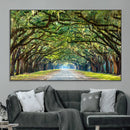 Wormsloe State Plantation Driveway Wall Art Canvas Print by MyGreatCanvas | Canvas Wall Art Prints | Photo Prints & Wall Decor